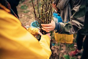 Calando Pflegedienst Michael Quaas in Dresden-Seevorstadt-Ost-Großer Garten  mit Strehlen-Nordwest
